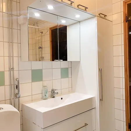 Lejlighed Top-floor City Escape With Sauna & Balcony In Central *
